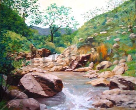 Arroyo