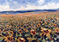 Girasoles serranos