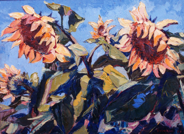 Intimidad de girasoles