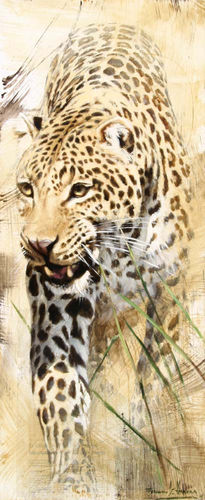 "leopardo"