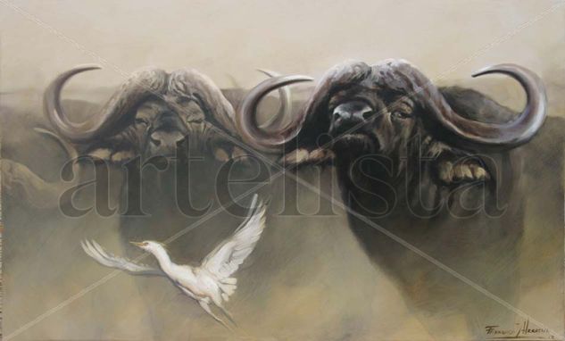 "MANADA BÚFALOS" Oil Panel Animals