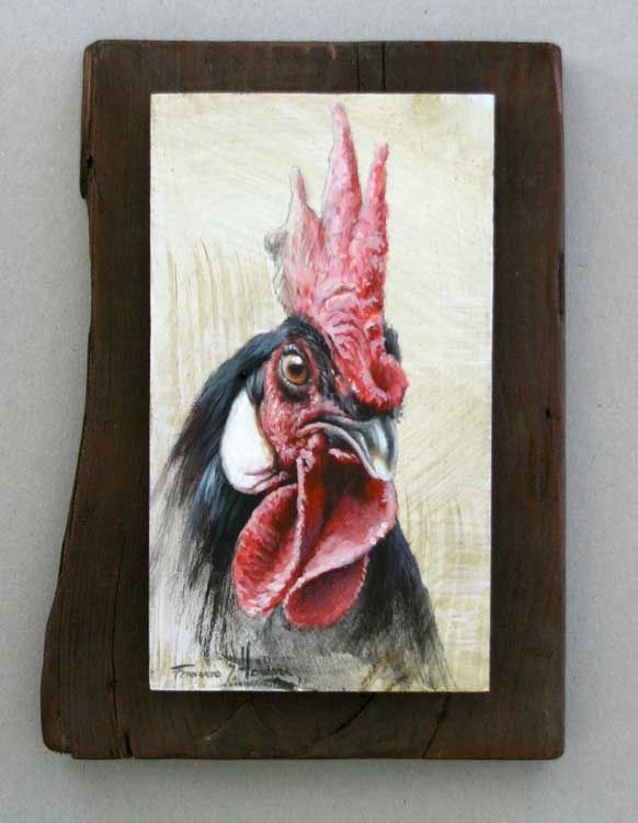 " GALLO NEGRO"