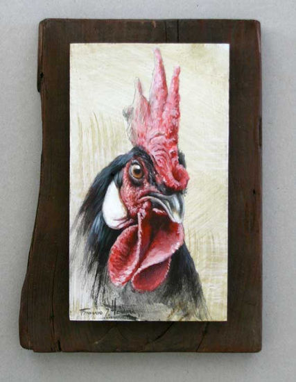 " GALLO NEGRO" Óleo Tabla Animales