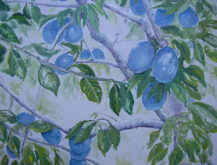 Ciruelas