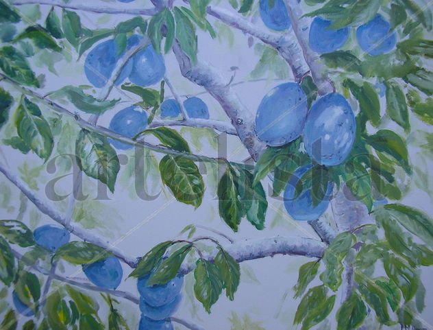 ciruelas