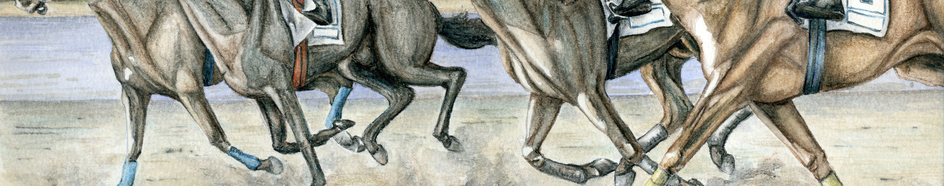 Imagen de portada