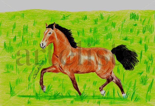 CABALLO EN LIBERTAD