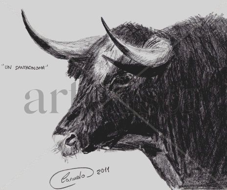 Cabeza de toro de...
