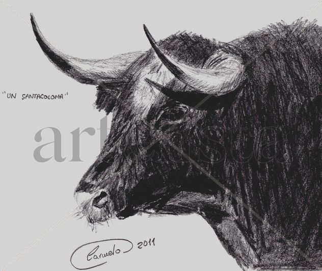 Cabeza de toro de Santa Coloma