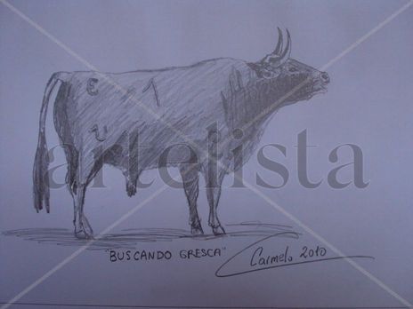 Toro en el campo