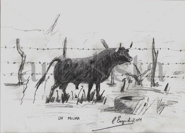 Toro de Miura en el campo. Charcoal