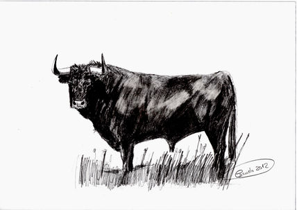 Toro