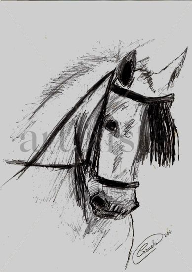 Caballo Charcoal