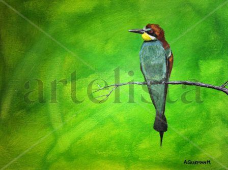 Soledad Pensando en Libertad