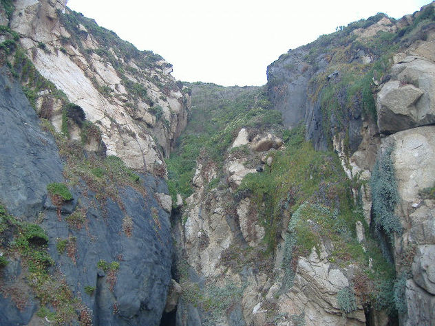 ACANTILADO EN VERDE