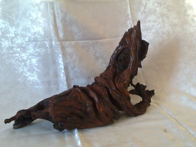 perfil Wood Figurative