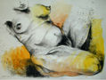 Desnudo