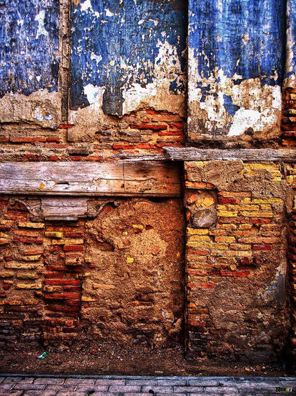 Pared 7