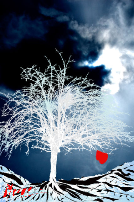 olvidado"CORAZON"