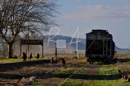Estacion los pinos.
