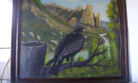 Rapaces