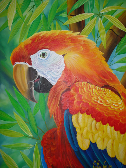 Lapa roja
