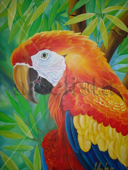 lapa roja Acrylic Canvas Animals