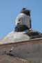 Cigueñas en la torre de la iglesia de Villamesías