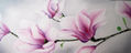 Magnolias