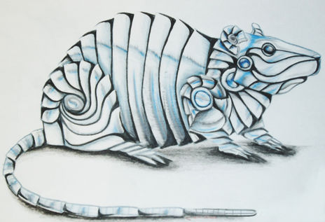 Biomecanico