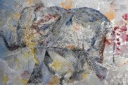 africa tuya