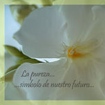 Love thumbnail 2