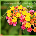 Love thumbnail 1
