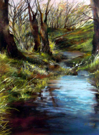 Reflejos del bosque Pastel Papel Paisaje