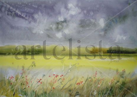 After rain