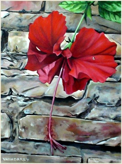 Amapola Roja