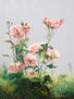rosas