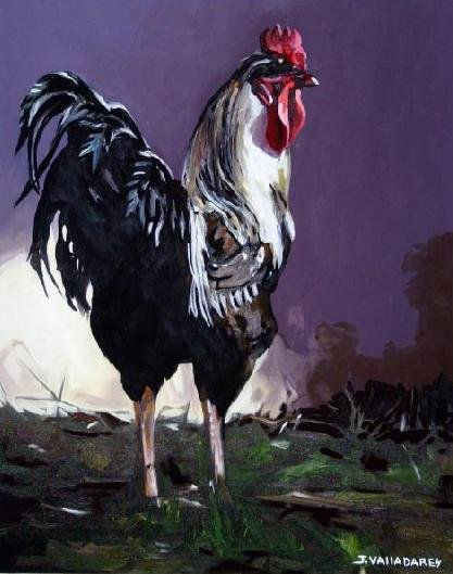 Gallo Óleo Lienzo Animales