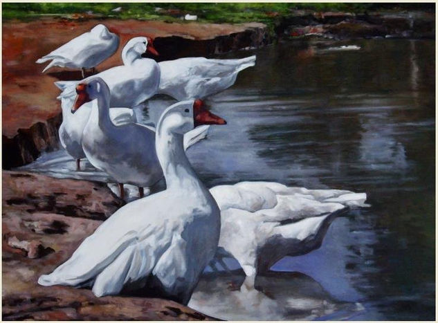 Patos en la laguna Oil Canvas Animals