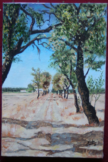 Paseo de almendros Acrylic Panel Landscaping