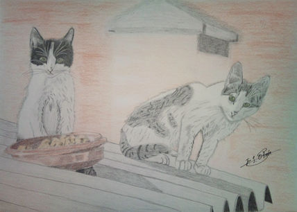 Gatos sobre el tejado