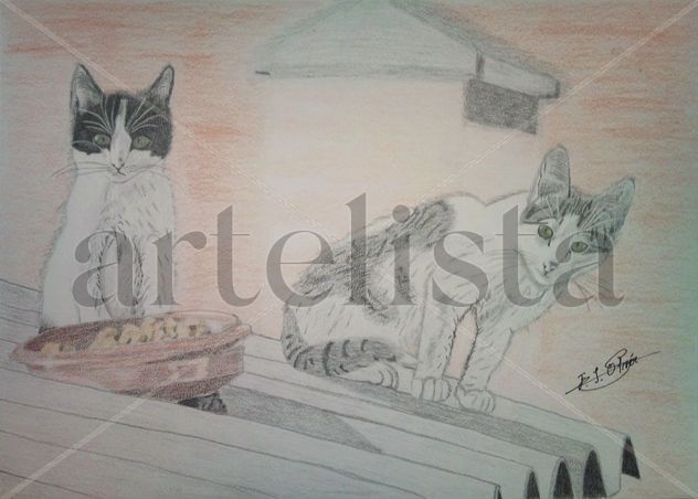 Gatos sobre el tejado
