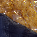 Macrofotografía thumbnail 1