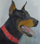 DOBERMANN