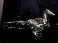 compsognathus