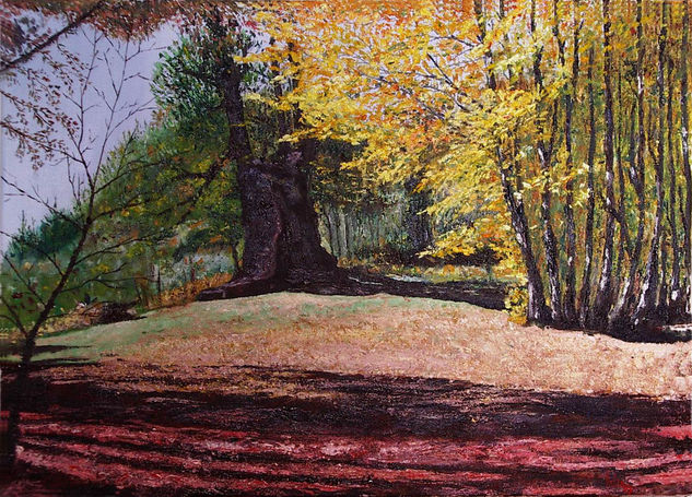 Arbol abuelo Oil Canvas Landscaping