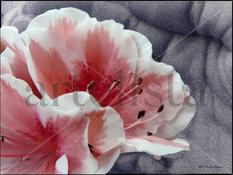 Lienzo floral