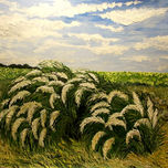 POSTALES ARGENTINAS thumbnail 2