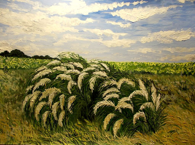 CORTADERAS SACUDIDAS POR EL VIENTO