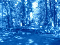 Bosque azul